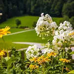 Bambichl Hoamat Apartment Fuschl am See