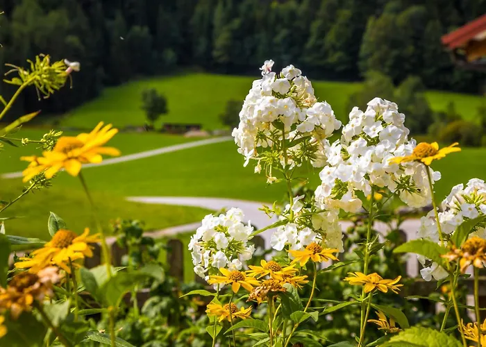 Bambichl Hoamat Lejlighed Fuschl am See